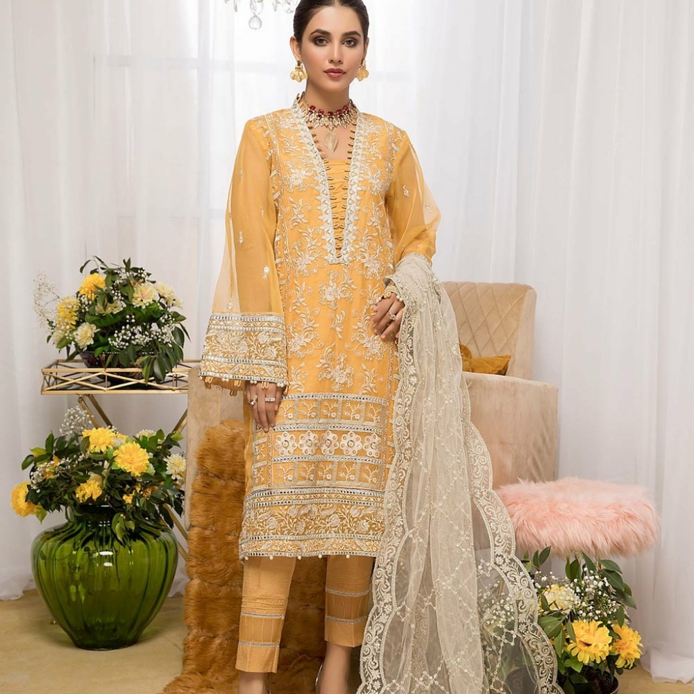 Salwar suit - Picture 2 of 2